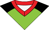 Raglan V-Neck